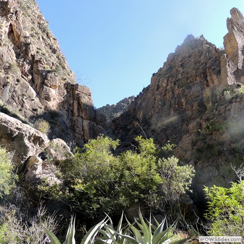 Cañón del Jabalí