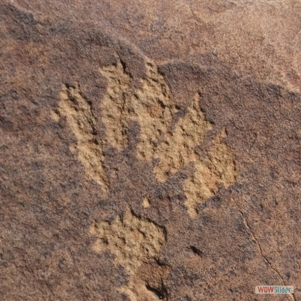 Notas de Arqueología