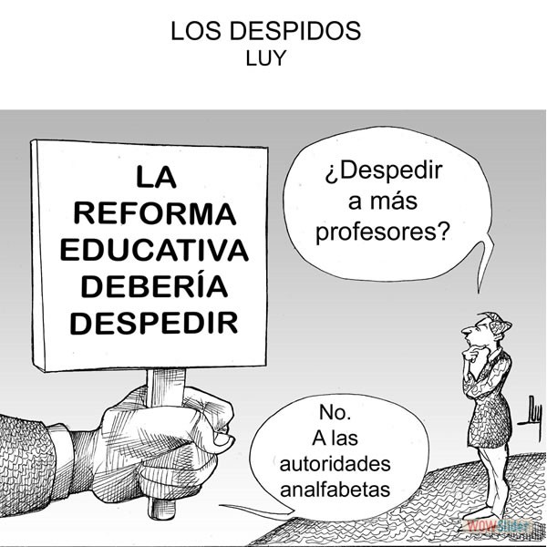 Cartones de Luy