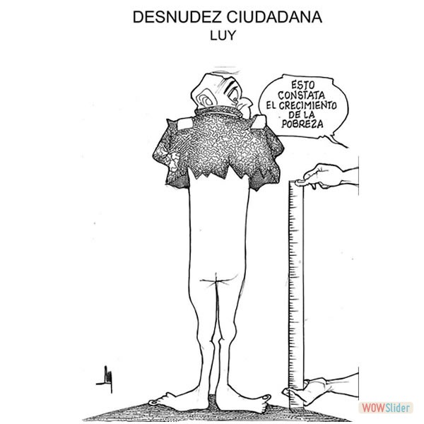 Cartones de Luy