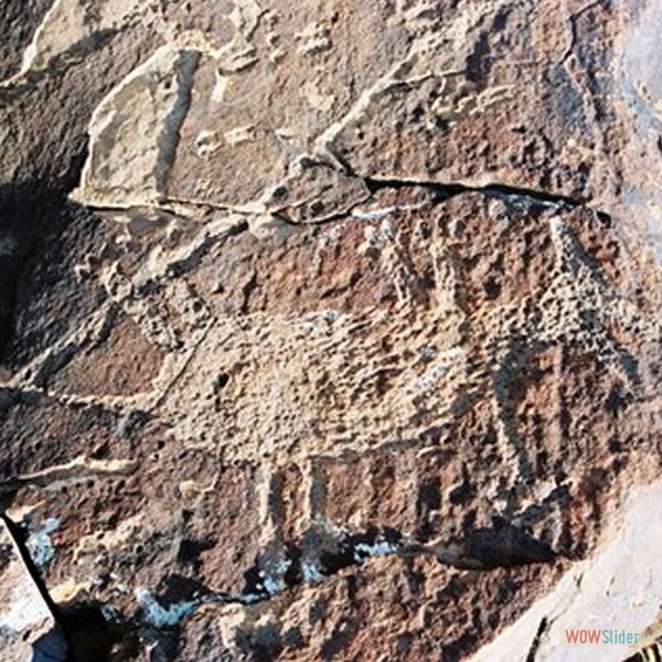 Petroglifos de La Puerta