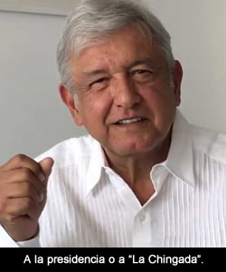 amlo