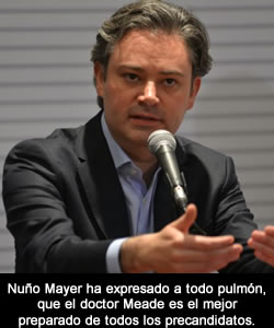 nuño mayer