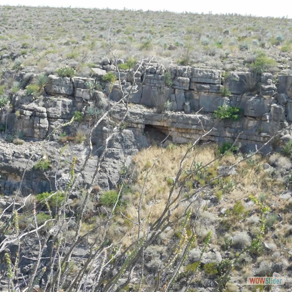 Estanque del León