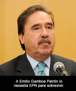 gamboa patron