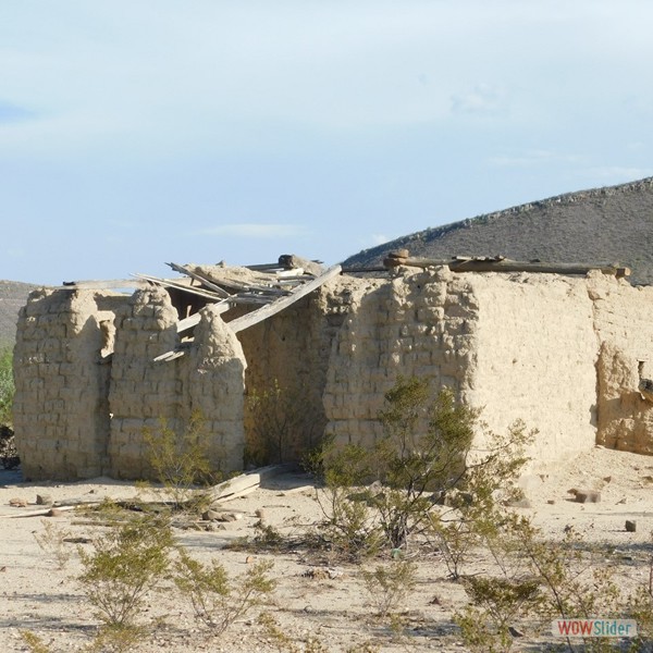 Los Cárdenas II