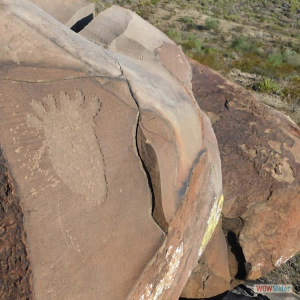 Los Cárdenas