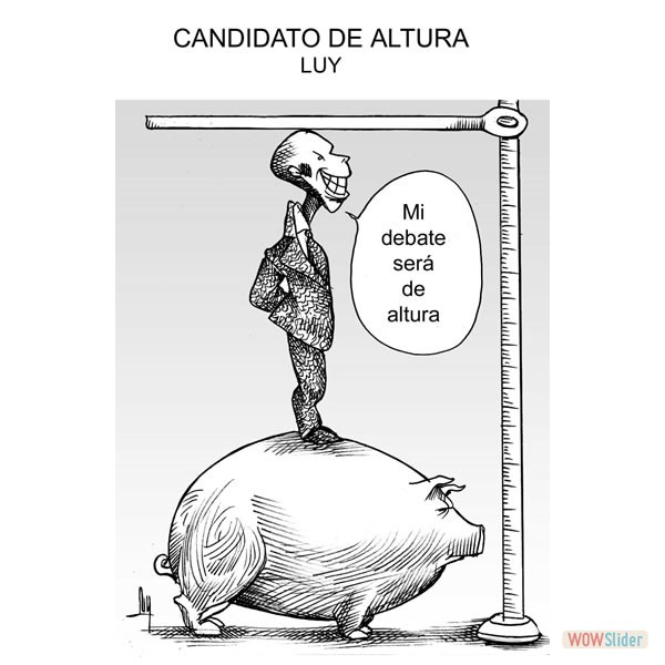 Caricaturas de Luy