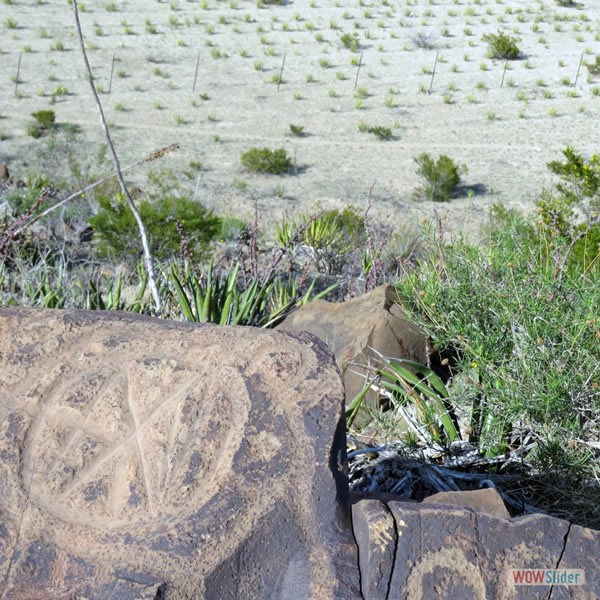 Los Mimbres